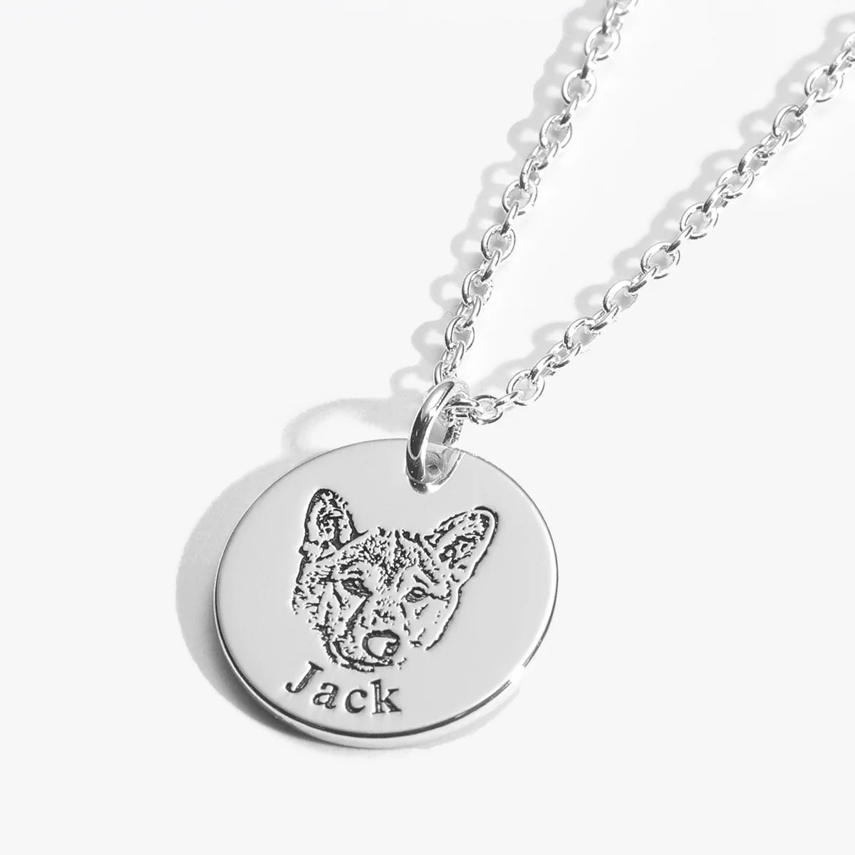 Collar personalizado mascota + Envío gratis